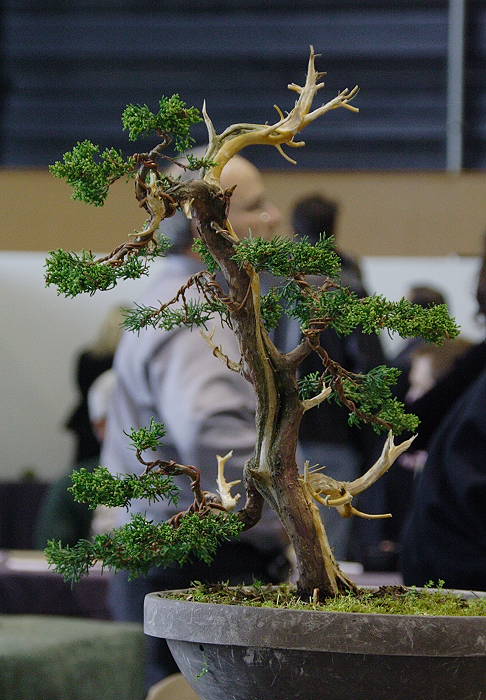 20094281100_IMG_4786