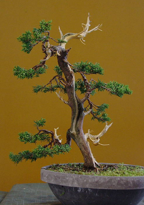 200942811317_IMG_4811