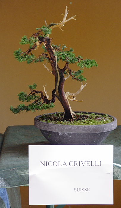 200942812257_IMG_4843