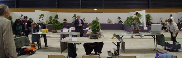 20094288542_IMG_4639