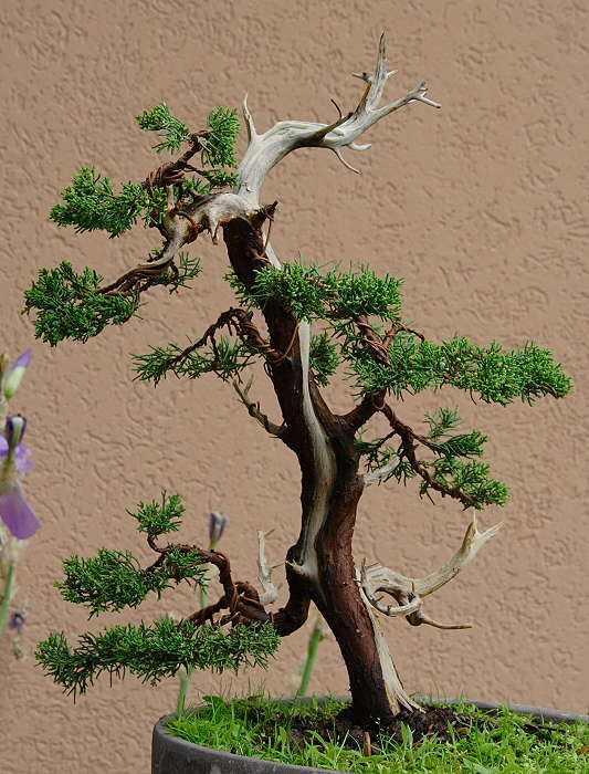 200952011165_IMG_5277