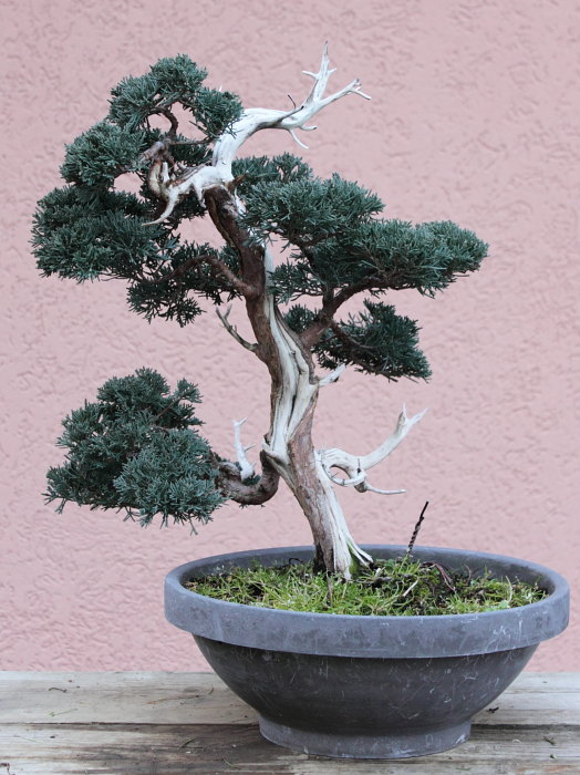 2010115152833_IMG_1132