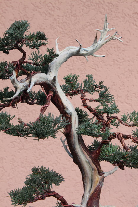 2010115152918_IMG_1139