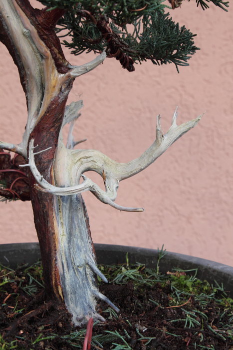 2010115152937_IMG_1143