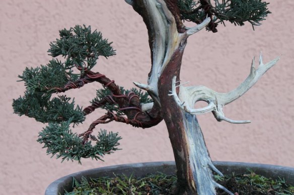 2010115152956_IMG_1146