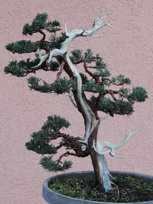 2010115153014_IMG_1147