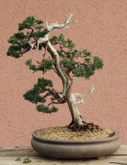 201048115540_IMG_3046