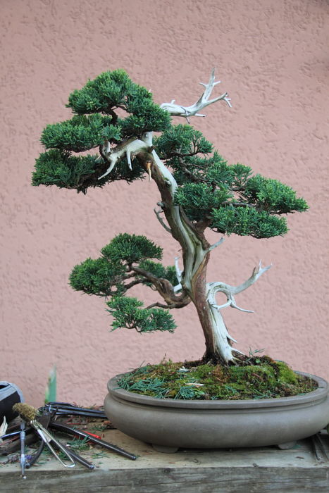 201141273935_IMG_5334