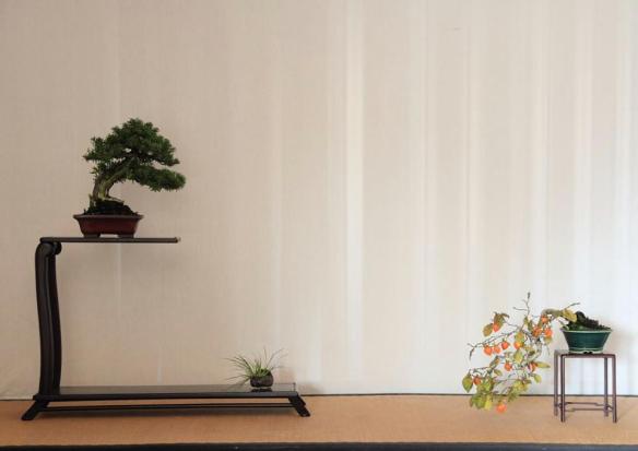 282236_4149568896271_1305128099_n