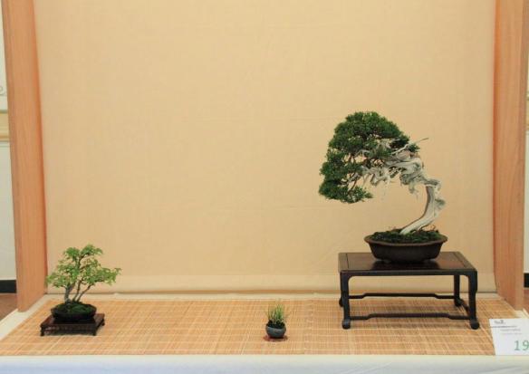 557203_4018485619271_827288292_n