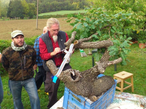 72080_453401711368227_1912010139_n