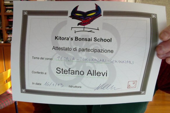 Foto del 17.01.13 alle 10.13