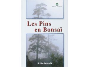 lespinsenbonsai