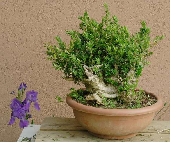 200874122941_IMG_4431