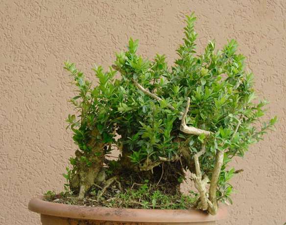 200874122958_IMG_4434