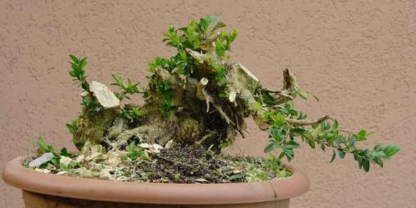 200874124843_IMG_5371