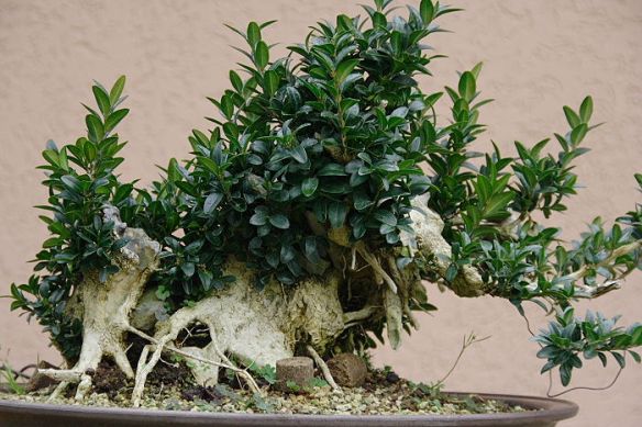 20091021122639_IMG_9609