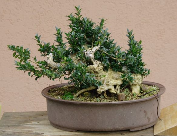 20091021122743_IMG_9610