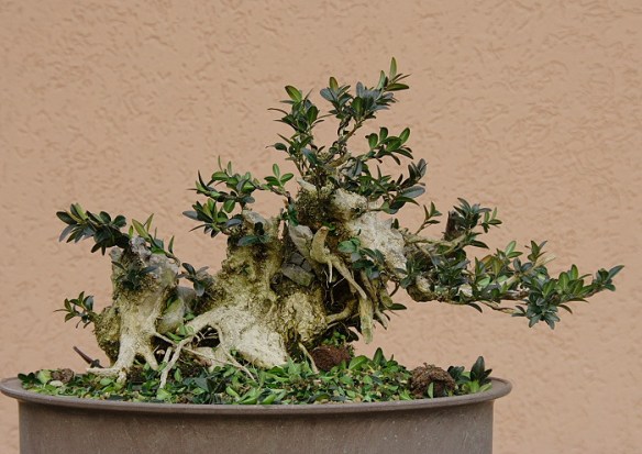 200912291923_IMG_0953