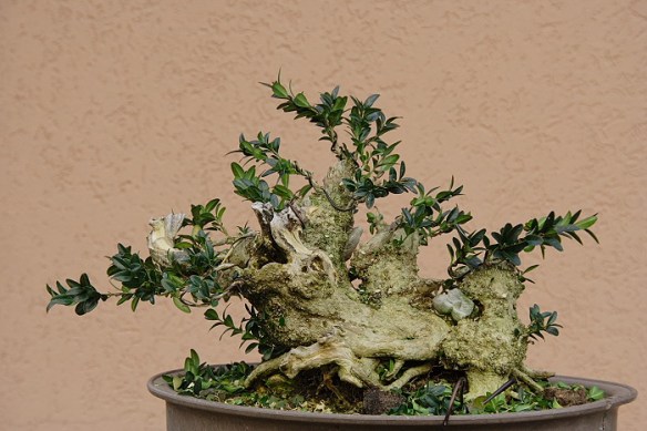 200912291945_IMG_0955