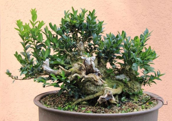 20108984820_IMG_8694