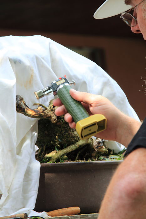 20108985218_IMG_8701