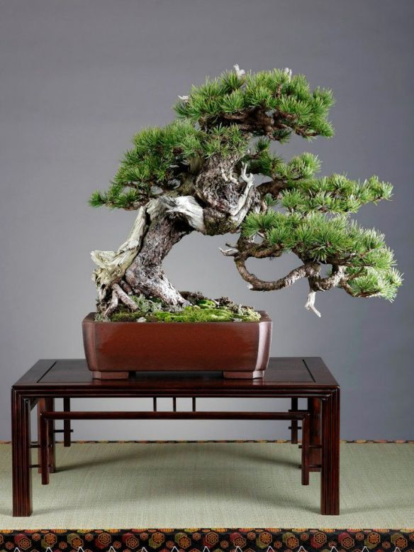 531757_358682827576479_1279803925_n