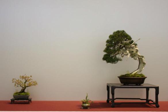 483785_441433469266038_237439151_n