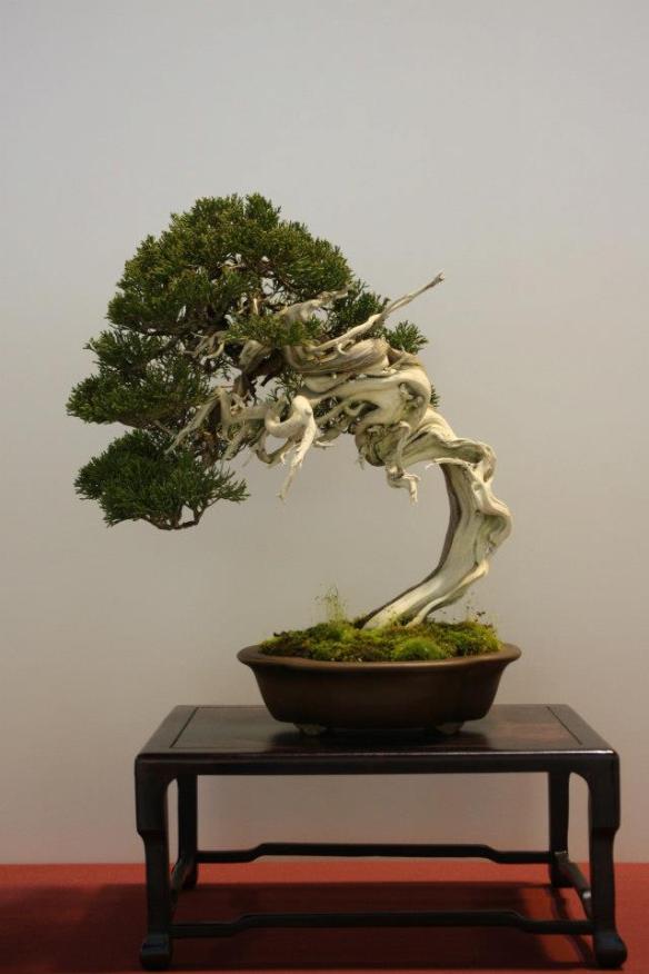 625683_441433459266039_1744250320_n