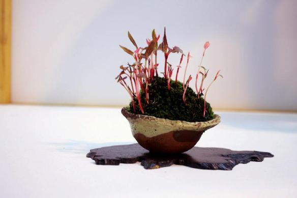 73192_441433095932742_1957380245_n