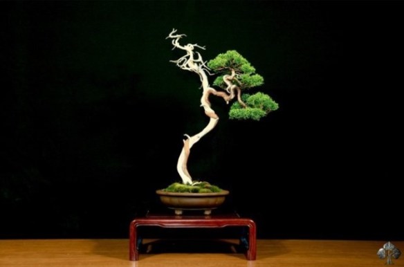 image_1363781889720284