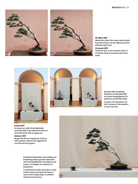 BK_65_NC_Higan-Demo-Junip-chin10