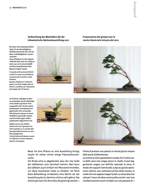 BK_65_NC_Higan-Demo-Junip-chin11