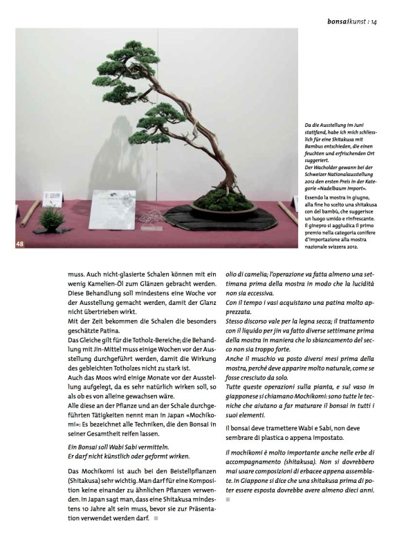 BK_65_NC_Higan-Demo-Junip-chin12