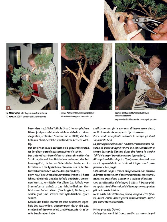 BK_65_NC_Higan-Demo-Junip-chin3