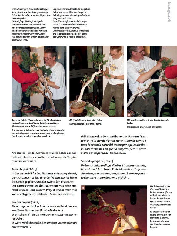 BK_65_NC_Higan-Demo-Junip-chin4