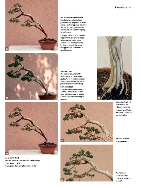 BK_65_NC_Higan-Demo-Junip-chin5