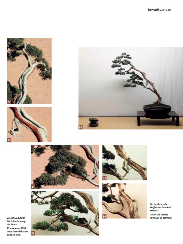 BK_65_NC_Higan-Demo-Junip-chin7