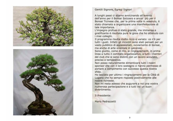 Libretto mostra bonsai2