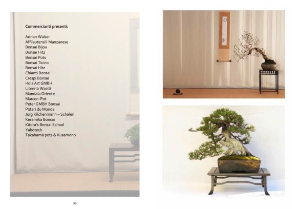 Libretto mostra bonsai20