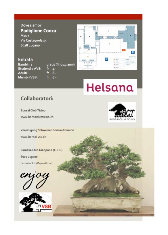 Libretto mostra bonsai21
