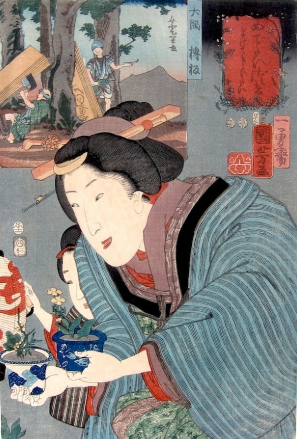 00-00-00-00-00-00-00-00-00abonsai4