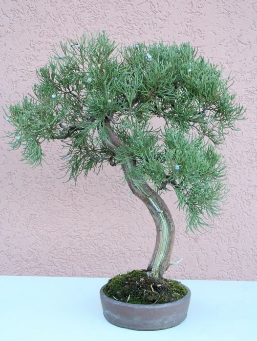 2008515143123_2007 - 0107