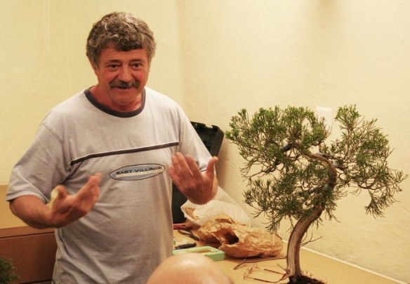 2008515144810_innesto