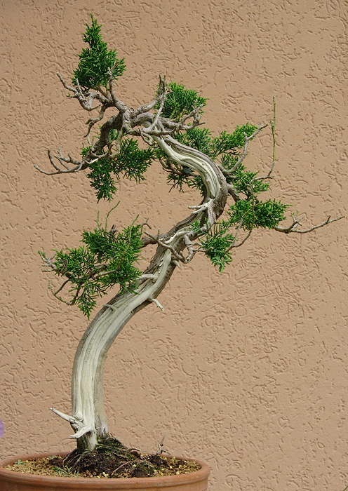 2008515145924_IMG_4484