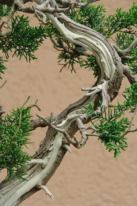 2008515145939_IMG_4486