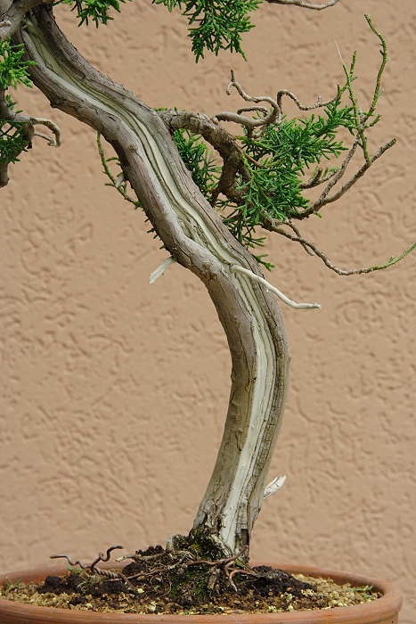 200851515013_IMG_4487