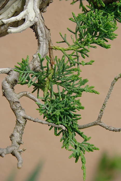 20085151521_IMG_4491