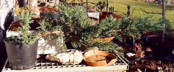 2008516182628_sc00079fe8