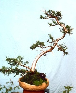 2008516182914_sc0007b82e